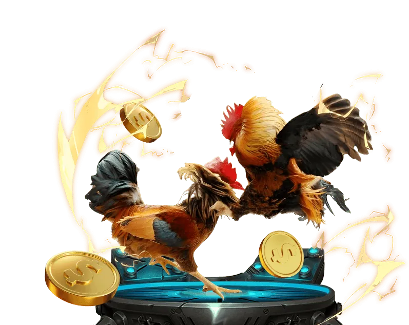 Tiền thưởng VIP và hoàn trả độc quyền